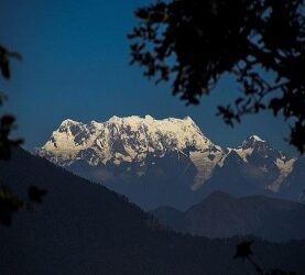 PAURI